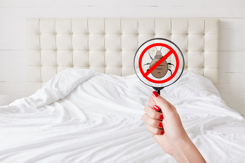  Johns Creek, GA's Bed Bug Defense: Protecting Your Home and Family