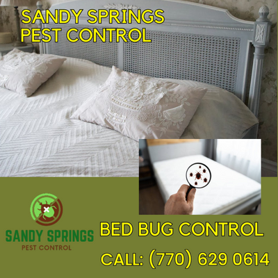 Bed Bug Control and Why You Need Sandy Springs Pest Control