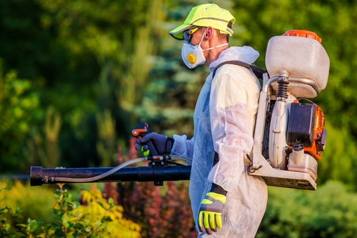  Reliable Duluth, GA Pest Control - Chemical Treatments