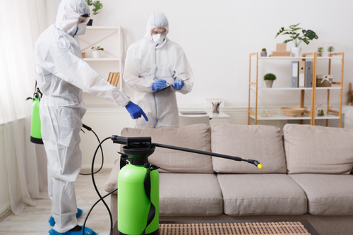 Top Chemical Pest Treatments in Redan, GA - Safe & Effective