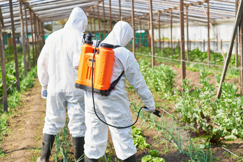  Expert Chemical Pest Control Services in Decatur, GA