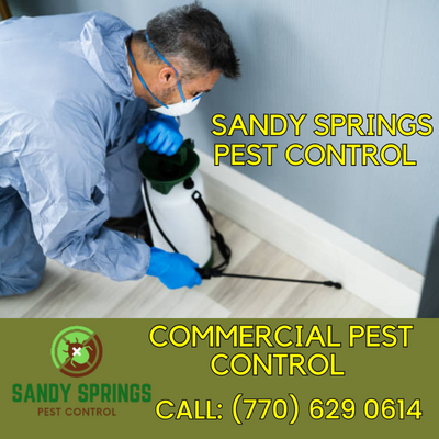 Sandy Springs Pest Control - Your Solution to a Pest-Free Home and Office