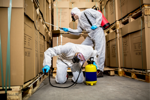 Top Commercial Pest Control Services in Lawrenceville, GA -- Protect Your Business