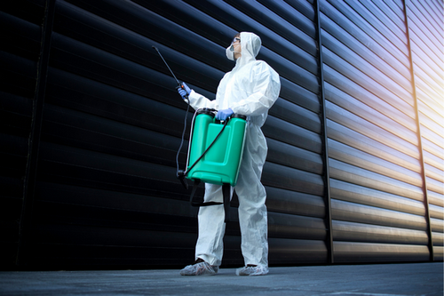  Proactive Commercial Pest Management in Smyrna, GA