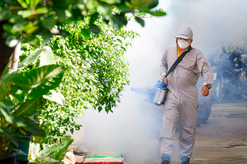  Custom Fumigation Plans for Duluth, GA Homes and Commercial Spaces