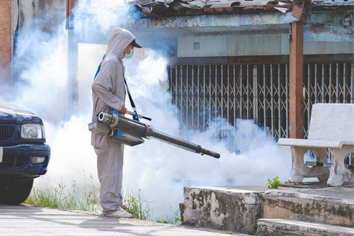  Safe and Effective Fumigation Solutions in Redan, GA