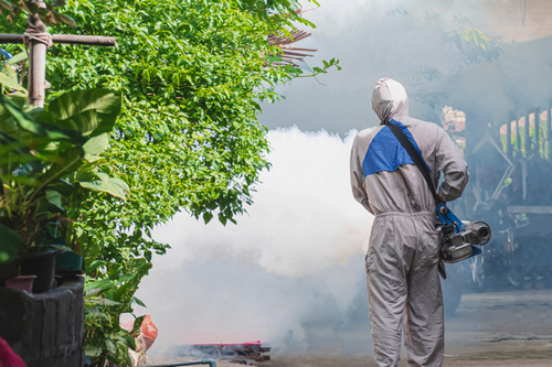  Comprehensive Fumigation Services for Candler Mcafee, GA Residents