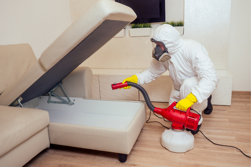  Insect-Free Living in Dunwoody, GA - Professional Extermination Services