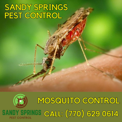 Expert Mosquito Control Services in Sandy Springs | Your Solution to a Pest-Free Home