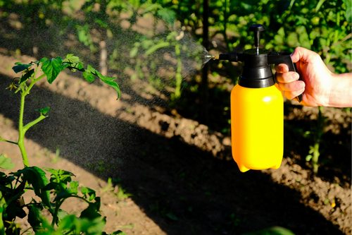  Sustainable Pest Control Methods in Decatur, GA - Non-Chemical Options