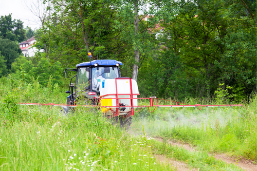  Biological Pest Control Methods in Woodstock, GA - Nature-Based Solutions