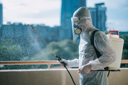  Commercial Pest Management in Acworth, GA - Business Protection