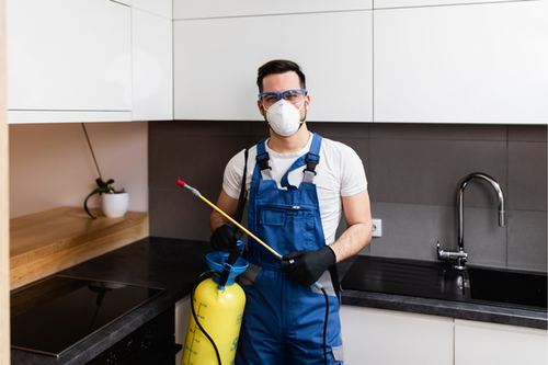  Local Pest Control Experts in Roswell, GA - Trusted Professionals