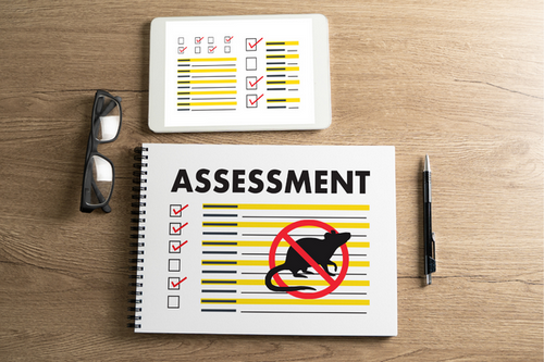  In-Depth Property Pest Assessments in Duluth, GA - Quality Assurance