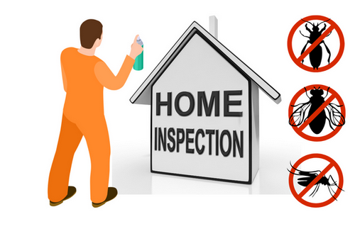  Professional Pest Surveys for Commercial Properties in East Point, GA