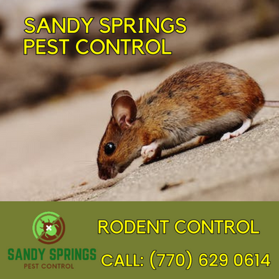 Rodent Control - Sandy Springs Pest Control