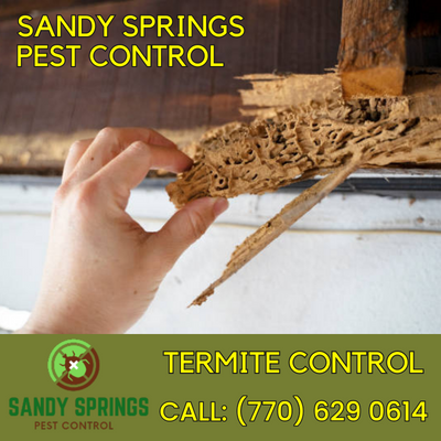 Commercial and Residential Termite Control - Sandy Springs Pest Control